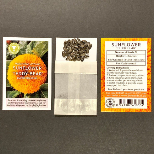 Sunflower Teddy Bear Seeds